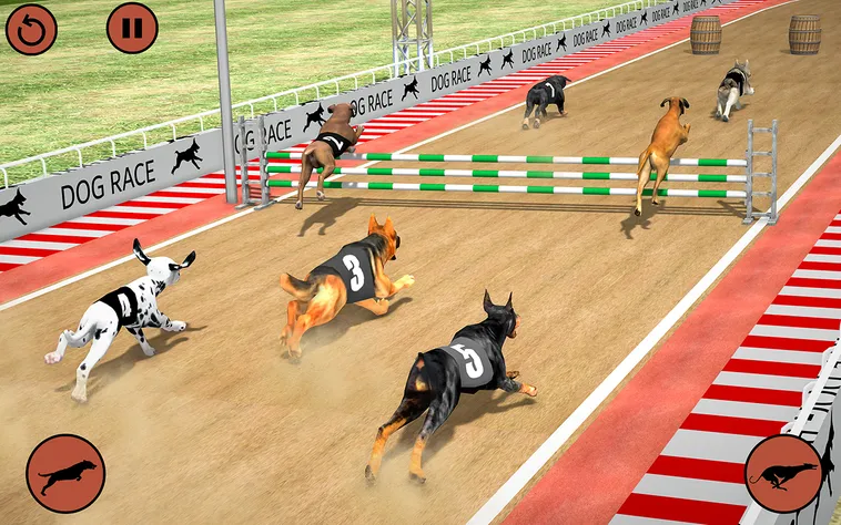 Cách Chơi Game Nhanh Đua Chó Tại W88 Thú Vị Và Hiệu Quả 2 Cách Chơi Game Nhanh Đua Chó Tại W88 Thú Vị Và Hiệu Quả