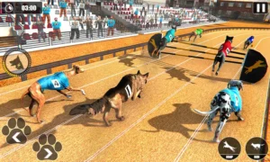Cách Chơi Game Nhanh Đua Chó Tại W88 Thú Vị Và Hiệu Quả